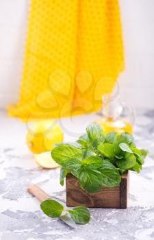fresh mint in box and on a table