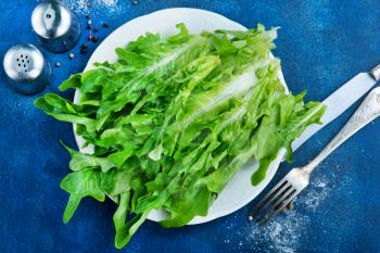 fresh ruccola on white plate and on a table