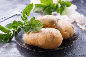 raw potato on a table, stock photo
