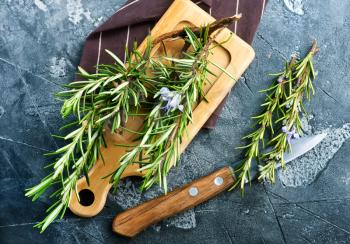 fresh rosemary, herb on the wooden table