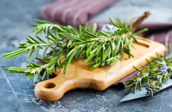 fresh rosemary, herb on the wooden table