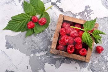 fresh raspberry in the bowl, stock photo