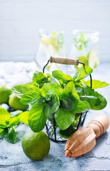ingredients for mojito on a table, stock photo