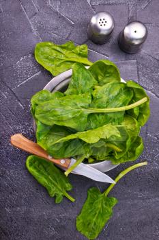 spinach leaves, fresh spinach on a table