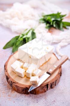 cheese on board and on a table, stock photo