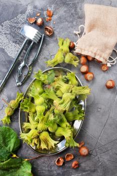 fresh hazelnuts on a table, stock photo