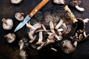 mushrooms in basket,raw mushrooms, stock photo
