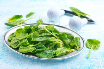 fresh spinach on metal plate, fresh leaves of spinach