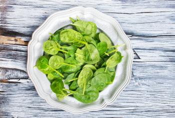 spinach leaf on metal plate, fresh spinach