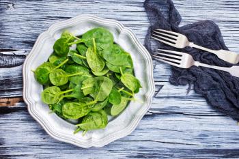spinach leaf on metal plate, fresh spinach