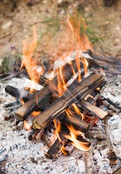 Camping bonfire with ash close-up view