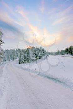 Winter snowy road going to the snow-covered green trees at twilight under a blue sky with clouds at sunset, winter landscape