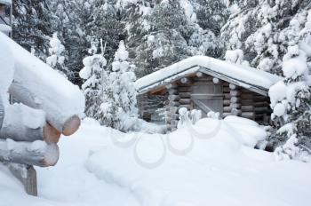 Small wooden blockhouse in winter under the white snow in the snowy forest of pine trees, winter landscape