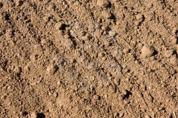 Soil textured surface with grooves background under bright sunlight