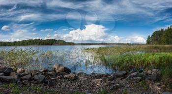Natural panorama north landscape - Ladoga lake with stony lake shore with green reeds under blue sky with white clouds panoramic view