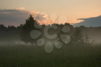 Sunset over the meadow under fog with trees in the dark