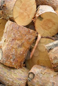 Timber industry and wood logging creative concept: heap of sawn pine wood logs with rough pine bark closeup industrial background