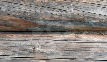 Timber industry concept - rough surface of gray weathered sawed wood logs of wooden house with cracks, splits and scratchs closeup view