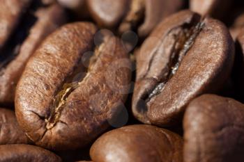 Two brown roasted coffee beans close-up macro view natural food background, selective focue, shallow depth of field.