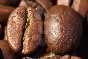 Two brown roasted coffee beans close-up macro photo natural food background, selective focue, shallow depth of field.