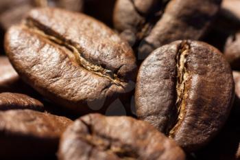 Brown roasted coffee beans close-up macro shot natural food background, selective focue, shallow depth of field.
