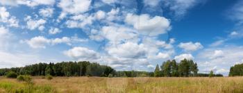 Summer natural agricultural field landscape - beautiful meadow with grass and wildflowers and trees on horizon under clear summer blue sky under bright summer sunlight panoramic landscape.