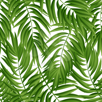 Tropical Palm leaves. Tropic palm. Tropical Palm leaf. Green tropic palm. Green palm summer tropical leaves. Tropic leaves frame.Green summer tropic palm leaves. Square frame.Square design tropic palm