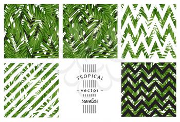 Tropical Palm leaves. Tropic palm. Tropical Palm leaf. Green tropic palm. Green palm summer tropical leaves. Tropic leaves frame.Green summer tropic palm leaves. Square frame.Square design tropic palm