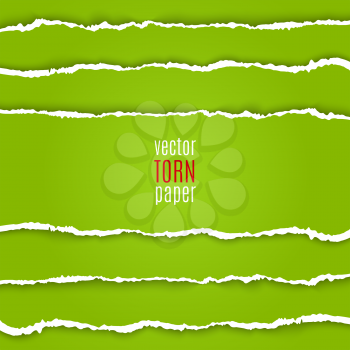 Vector illustration green torn paper. Template background