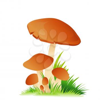 Edible mushroom porcini with grass isolated on white background