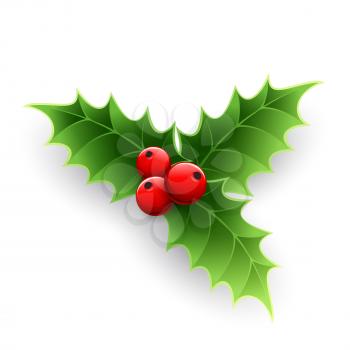Christmas Holly Berry isolated on white. Vector illustration