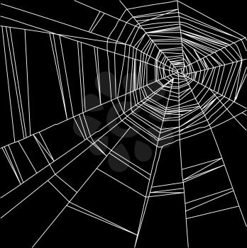 Vector white spider web isolated on the  black background