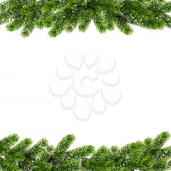 Christmas green Pine Branches. Vector illustration