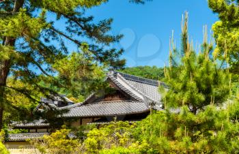 Roofs of a shinto shrine in Nara - Japan