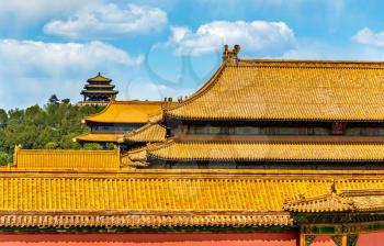 Traditional roofs of the Forbidden City in Beijing, China
