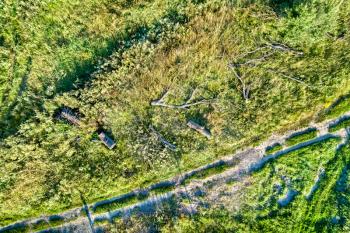 Fallen trees near a dirt road in Kursk Region of Russia. Top-down view