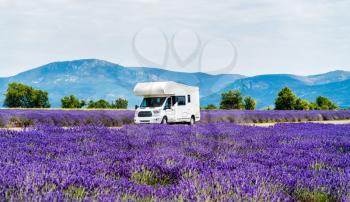 Campervan moving through a lavender field in Provence, France