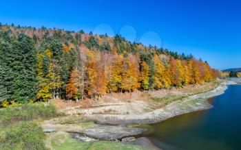 Colorful trees at the lakeside of Lac de la Lauch in the Vosges mountains - Alsace, France