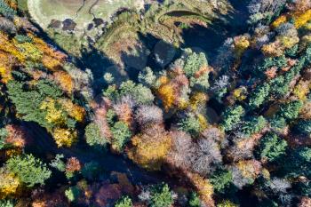Aerial view of trees in the Vosges Mountains in autumn. Alsace, France