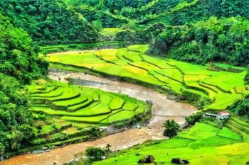 Mayoyao Rice Terraces, UNESCO world heritage in Ifugao - Luzon island, the Philippines