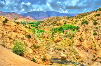 Landscapes of Batna Province in Algeria. North Africa