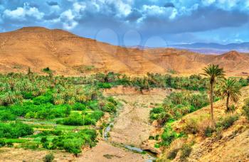 Landscapes of Batna Province in Algeria. North Africa