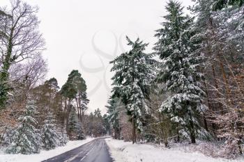 Road in the Vosges mountains in winter. Bas-Rhin department - Alsace, France
