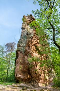 Sandstone rock in the Palatinate Forest. Palatinate Forest-North Vosges Biosphere Reserve, Germany