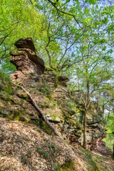 Sandstone rocks in the Palatinate Forest. Palatinate Forest-North Vosges Biosphere Reserve, Germany