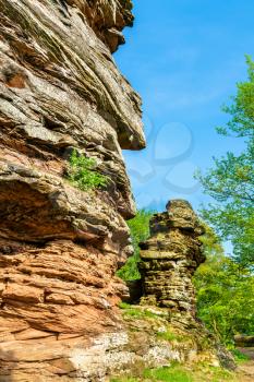 Sandstone rocks in the Palatinate Forest. Palatinate Forest-North Vosges Biosphere Reserve, Germany