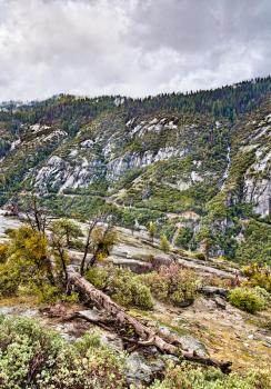 Landscape of Yosemite National Park in California. UNESCO world heritage in United States