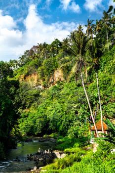 The Petanu River downstream Tegenungan Waterfall near Ubud village in Bali, Indonesia
