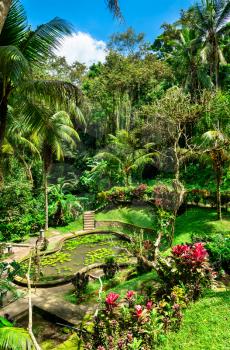 Garden at Goa Gajah Elephant temple in Bali, Indonesia
