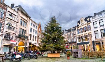 Christmas Tree at the Plaats square in the Hague - the Netherlands, Western Europe